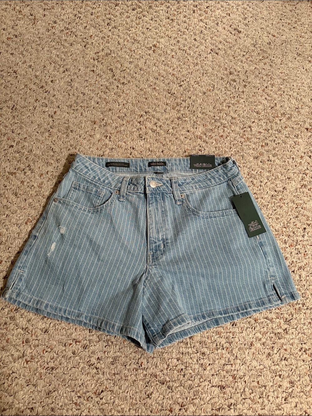 wild fable Light Blue Pinstripe Denim Shorts